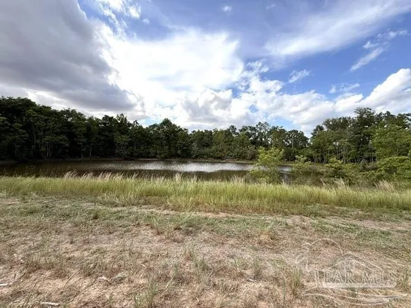 2 & 3 Tungoil Rd, Mc David, FL 32568