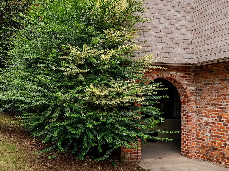 Entrance from back parking lot