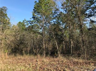 39 Fringetree St, Homosassa, FL 34446