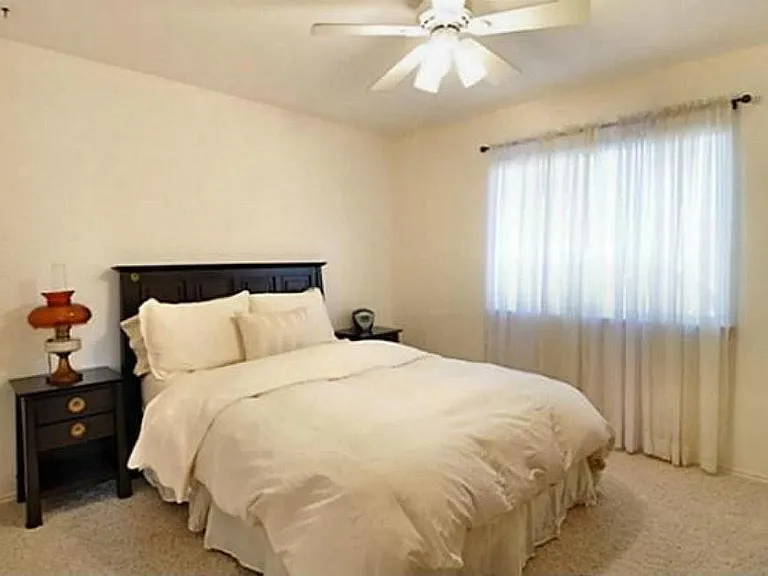 11915 Rocky Point Dr — Photo 20