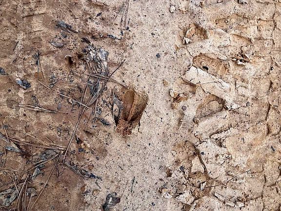 4th image of TRACT 5 Venus Rd