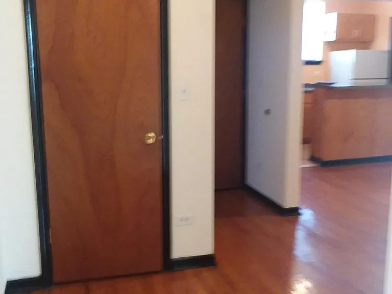 6840 1/2 S Perry Ave #3W — Photo 5