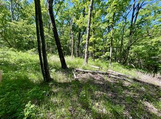 Thunderbird Ln #35, Eureka Springs, AR 72631