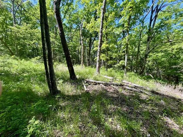 Thunderbird Ln #35, Eureka Springs, AR 72631