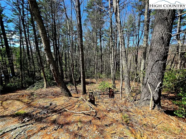 TBD (lots 5 & 6) River Ridge Road, Boone, NC 28607