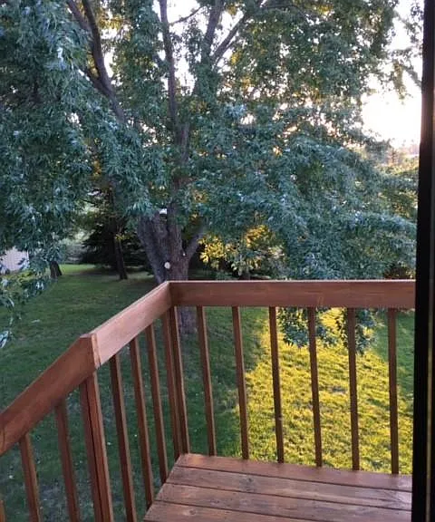 814 Brandie Rd — Photo 2