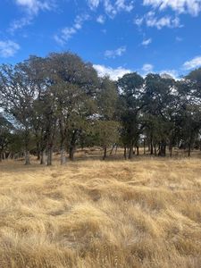 Spring Valley Rd, Marysville, CA, 95901