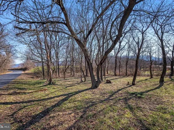 LOT 21 Red Banks Rd, Mount Jackson, VA 22842