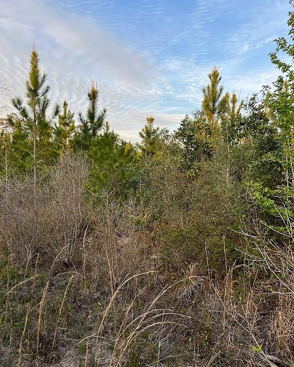 Fm 943, Kountze, TX 77625 MLS 33292577 Zillow