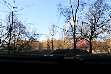 Rented by Living New York