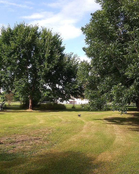 2nd image of 305 Winding Way N