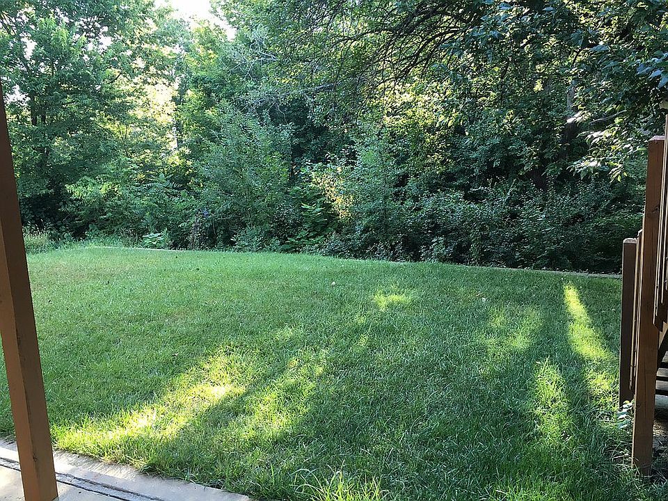 Wooded Backyard