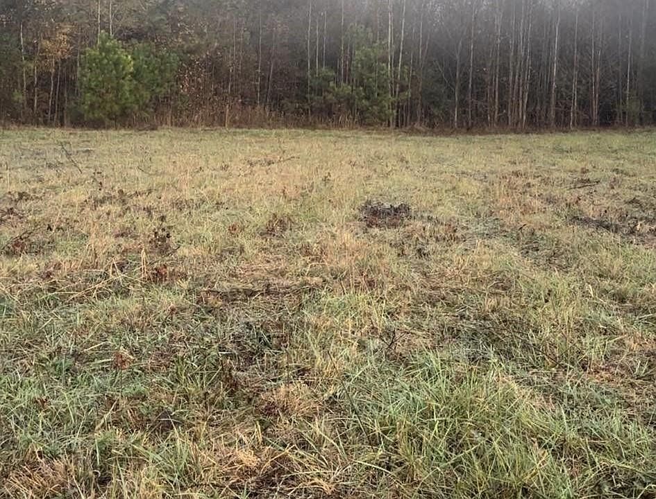 7108 State Highway 11, Collinsville, AL 35961 Zillow