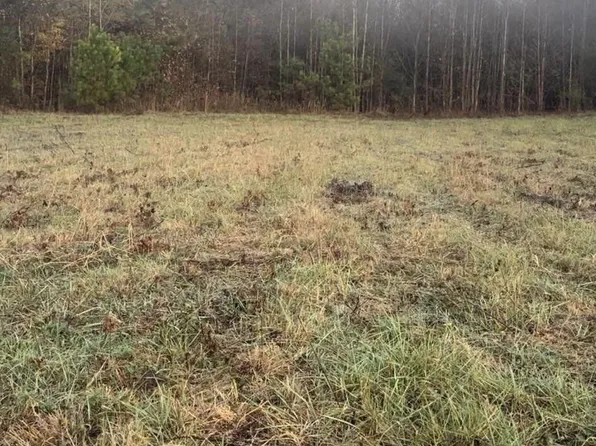 7108 State Highway 11, Collinsville, AL 35961