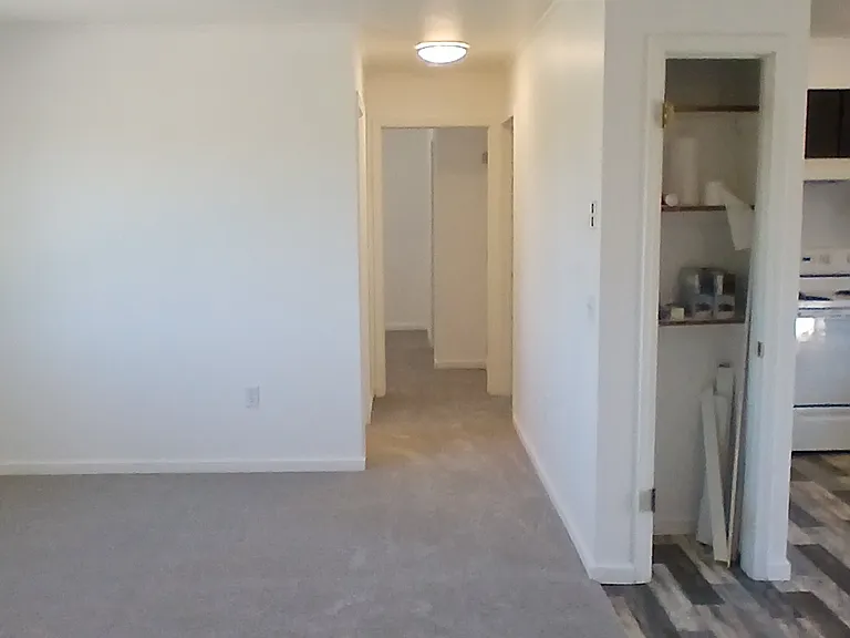 3050 Elroy Dr #3 — Photo 5