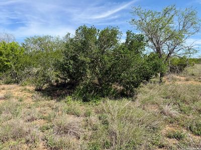 0 County Road 147 LOT 36.86, George West, TX, 78022