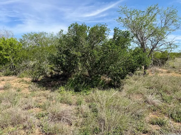 0 County Road 147 LOT 36.86, George West, TX 78022