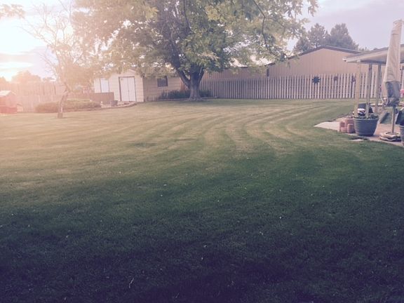 Backyard and Buildings