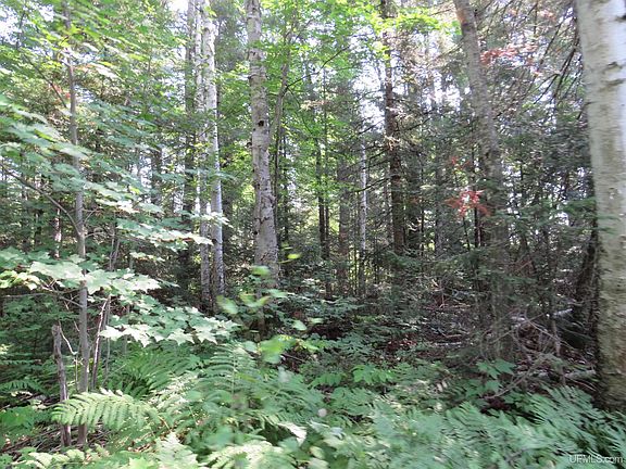 41st image of Off King Lake Rd