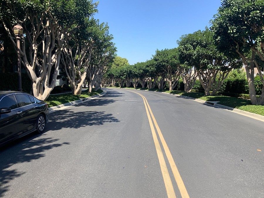 2nd image of 10 Thunderbird Dr