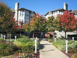 2nd image of 880 Meridian Bay Ln Unit 303