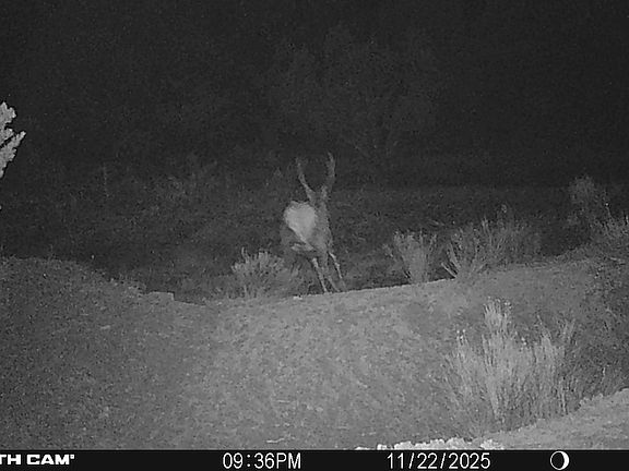 3rd image of Forest Service Rd Lot 640A-WP001