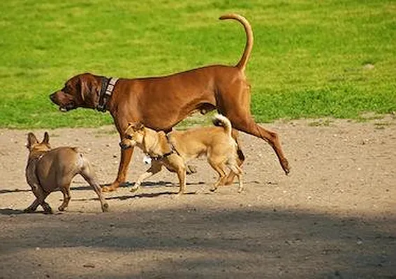 Rented by Level Group | media 16