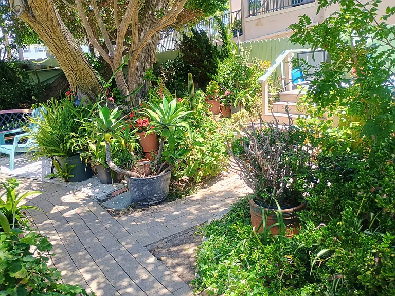Front Garden
