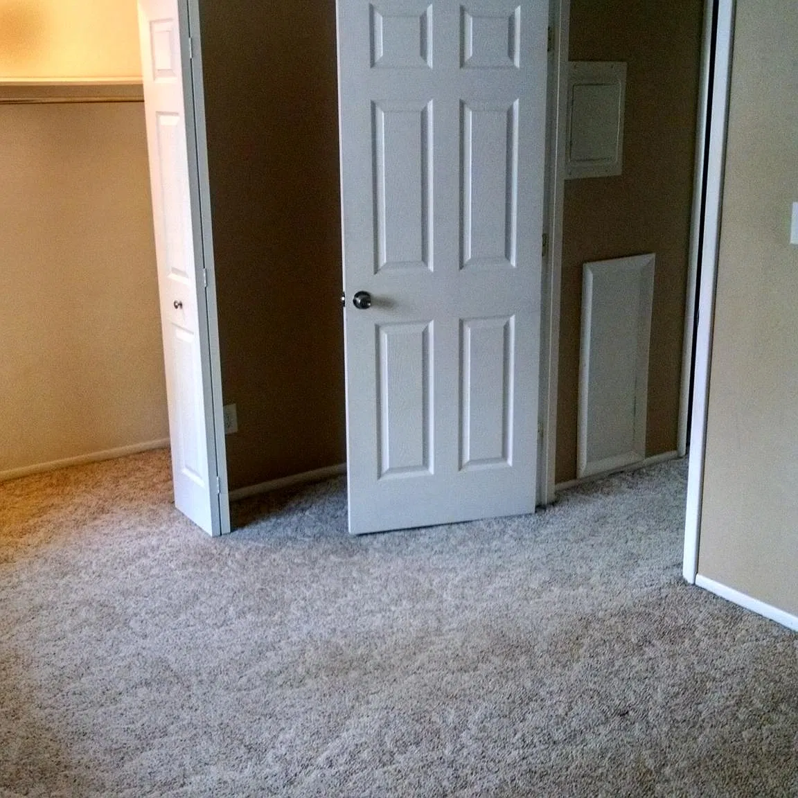 1 bed, $895 — Photo 4