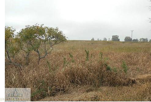 2nd image of Tomlinson Rd