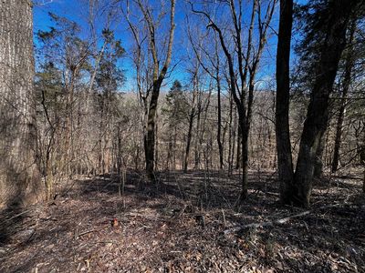 0 Lakeshore Dr, Dover, TN, 37058