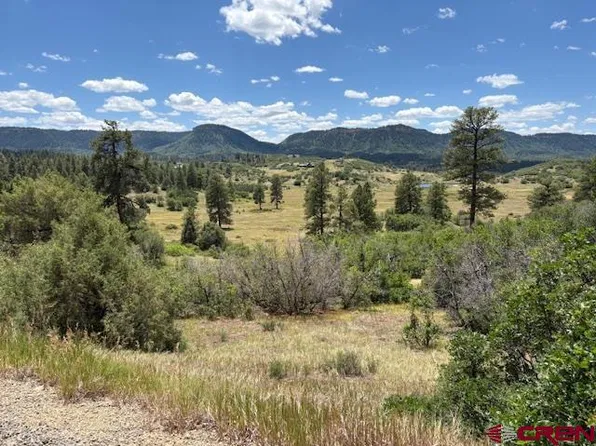 311 E Arbol Park Drive, Pagosa Springs, CO 81147