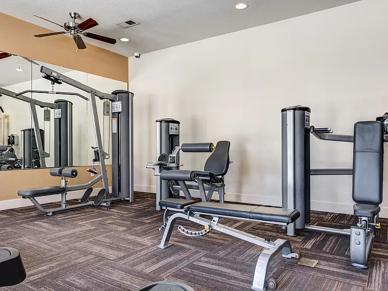 Elevate your fitness