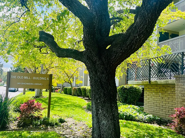49 Showers Dr #A — Photo 15