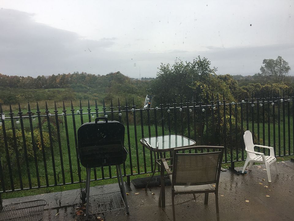 Backyard view from porch