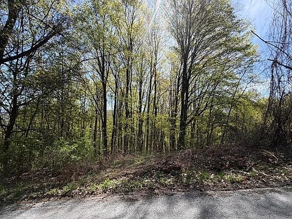 4th image of 2A-3A Reservoir Rd