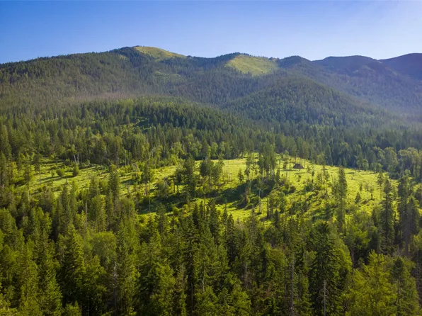 700 & 900 Jewel Basin Rd, Bigfork, MT 59911