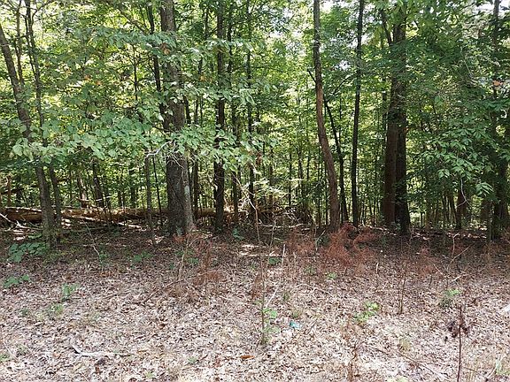 4th image of LOT 885 Stoneway Pl