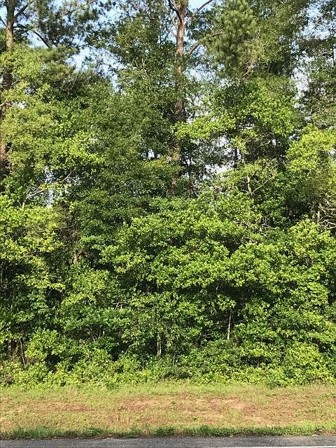 2nd image of Blue Star Hwy