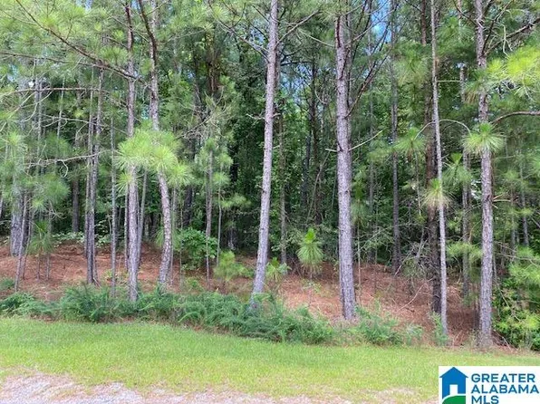 Pineview Dr #9, West Blocton, AL 35184