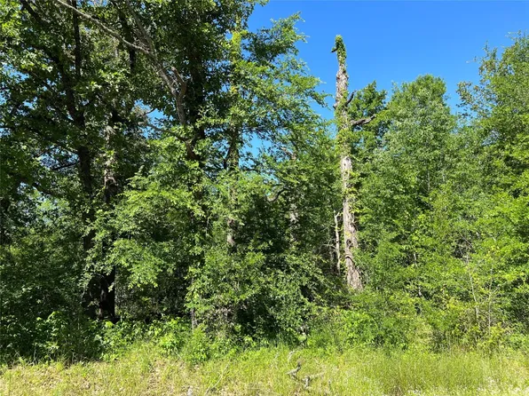 LOT 93 Dogwood Dr, Trinidad, TX 75163