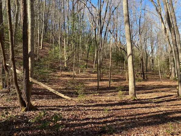 Collett Woods Trl, Andrews, NC 28901