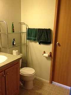 Main bath_09262014