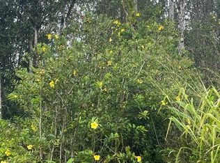 Tangerine Dr LOT 68, Pahoa, HI 96778