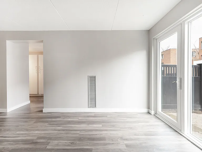 Living Room With Natural Lighting