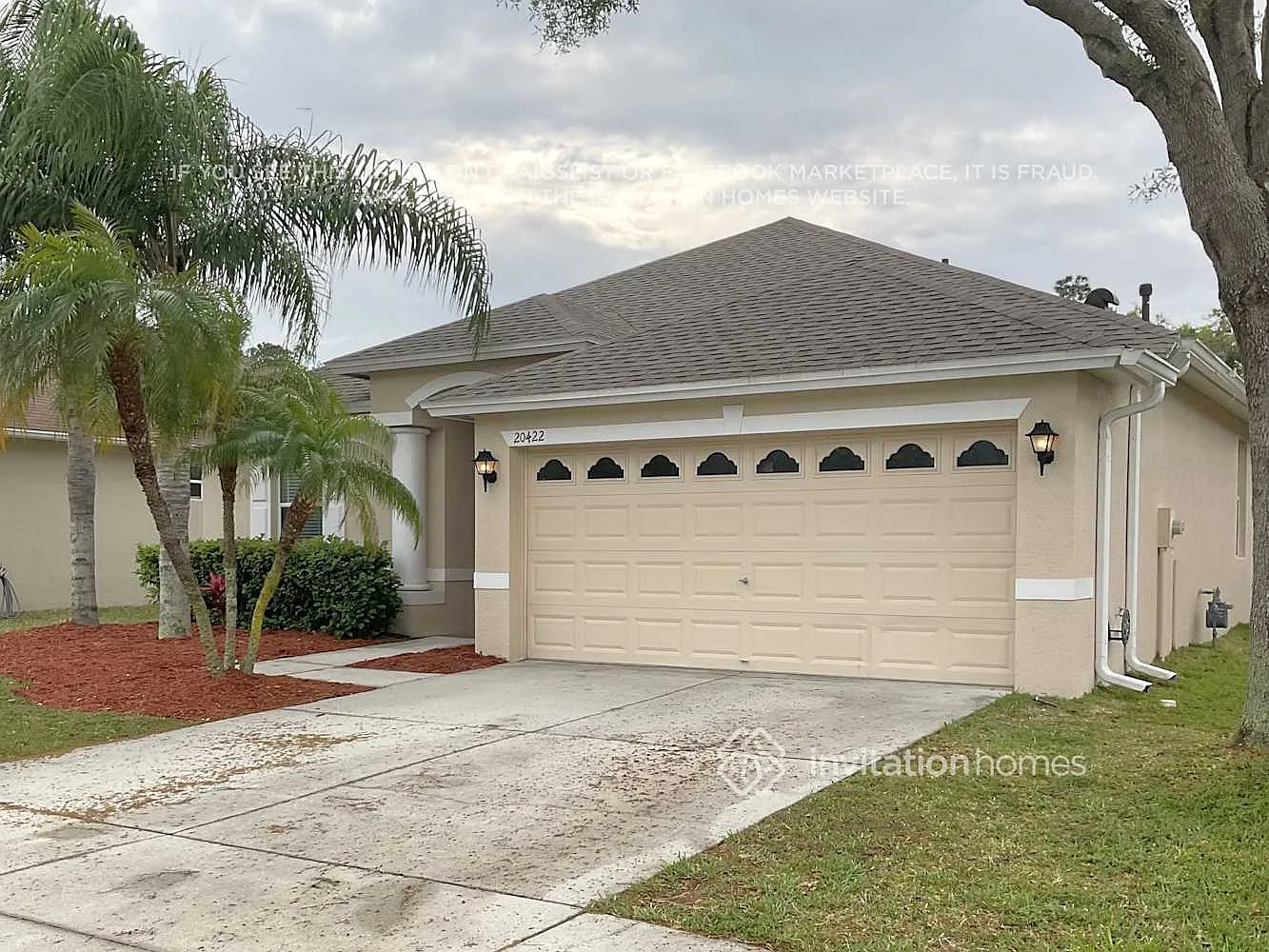 20422 Falling Rock Dr Land O Lakes, FL 34638 — Photo 3