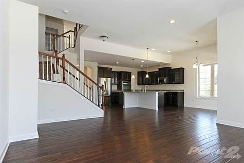 Family Room View