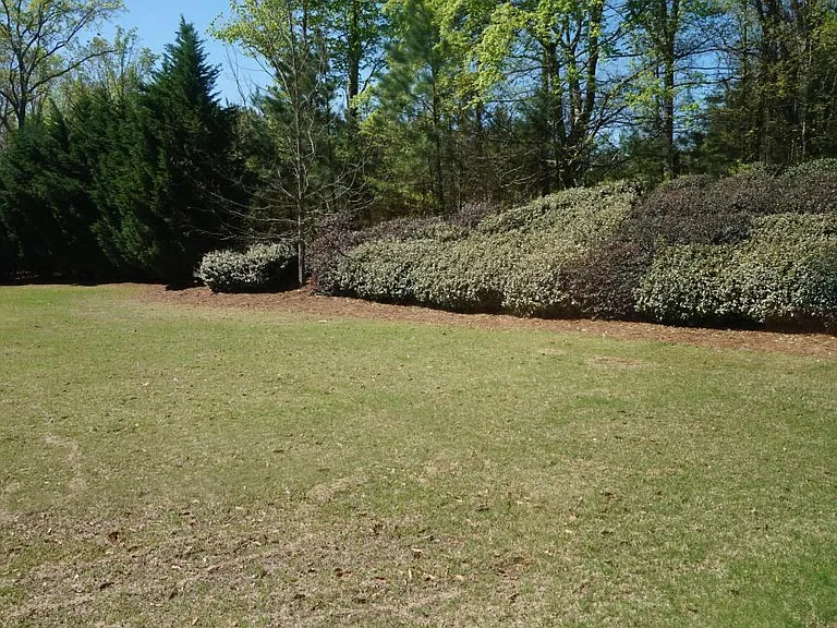 Gorgeous yard