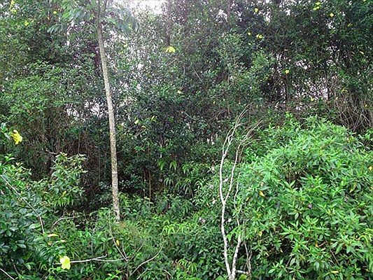 2nd image of Ainaloa Blvd Lot 3