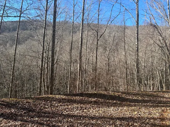 20 Long Creek Ln, Bryson City, NC 28713